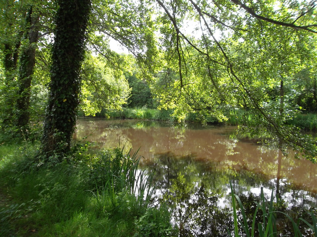 L'étang de pêche du Flower camping Beauchêne